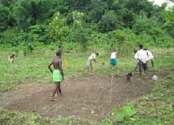 Zero leveling of ground for equal and effective water distribution in the drip lets