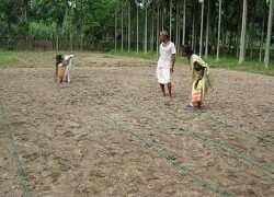Farm families inspecting the drip line