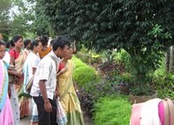 Exposure on Bee keeping process