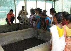 Vermicompost process based on mix of biogas slurry feed and other biomass mix at IITG