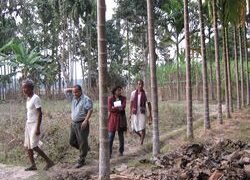 CML & RCSD representative inspecting the pilot sites for interventions