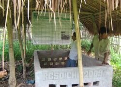 Visiting a NADEP compost tank site prior to charging of the tank with biomass material