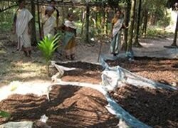 Reducing the moisture level in the bio-compost to appropriate levels for packaging