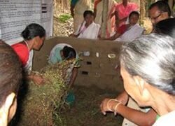 Laying of biomass layers as per specification by user groups in progress