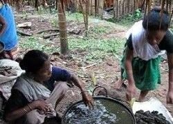 Preparing the mixture of dung & water to facilitate microbial activity