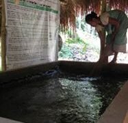 Tank loaded with biomass is sealed with dung & mud plaster and let for 90 days