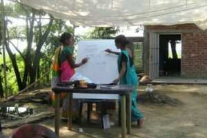 Participants presenting the electric demand of a HH